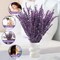 Dried Preserved Lavender Flowers Bundle-Natural Dried Lavender Bouquet 180-200 Stems 15''-17" for Wedding Home Shower Vase Decor, Aromatherapy, Fragrance, Fresh, Dry, 2 Packs